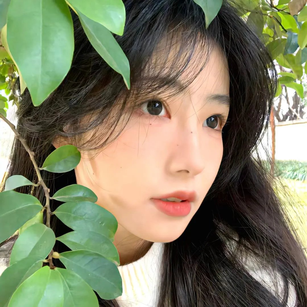 谎话连篇